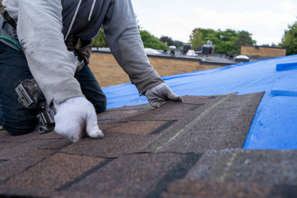 Best Flat Roofing  in Shorewood, IL